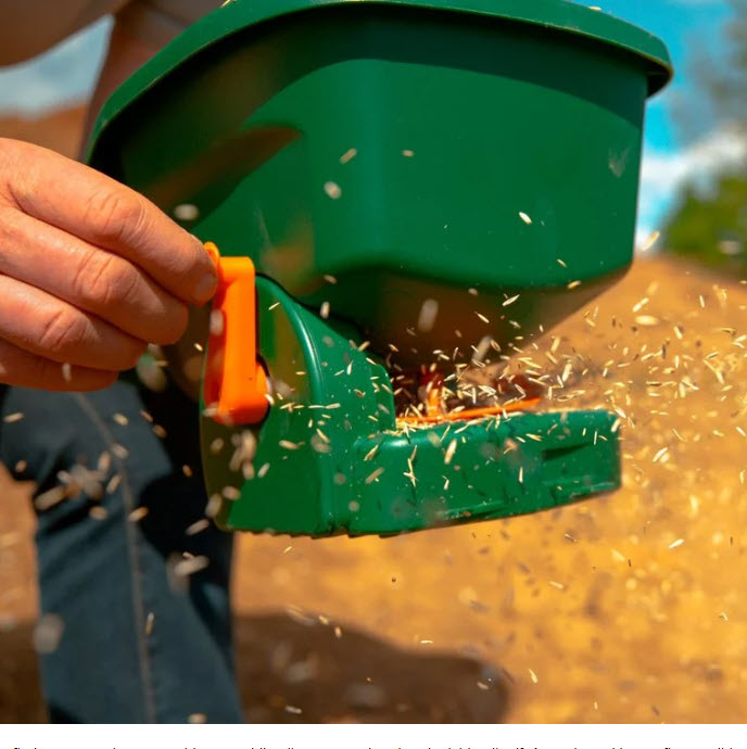 Why Fall Is the Best Time to Reseed Your Lawn